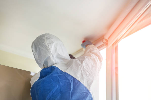 Best Attic Mold Removal  in University Gardens, NY